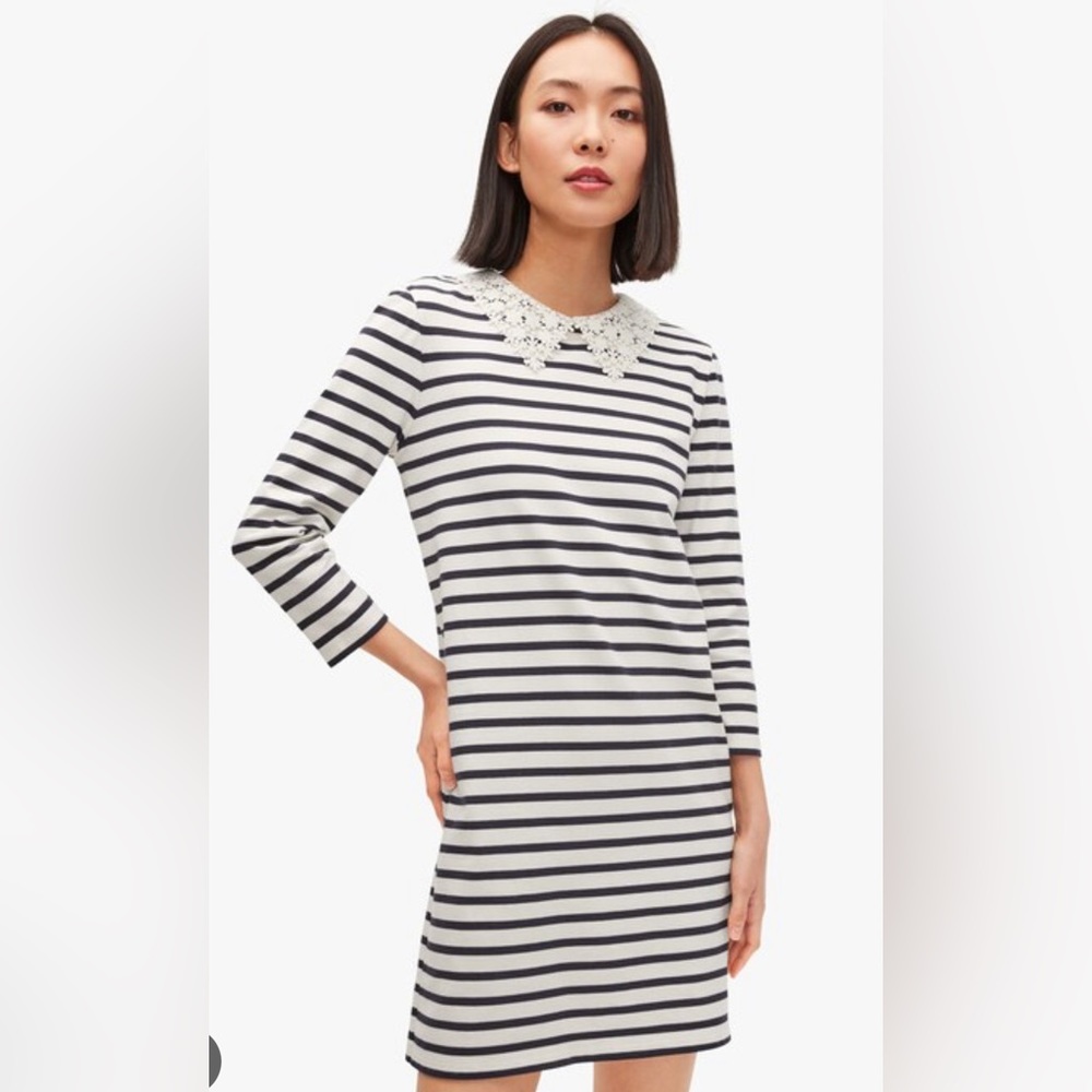 Women’s Kate Spade Dress sz L NWT